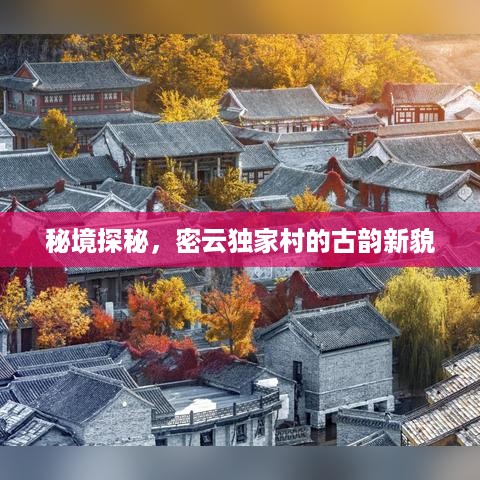 2025年5月 第5页