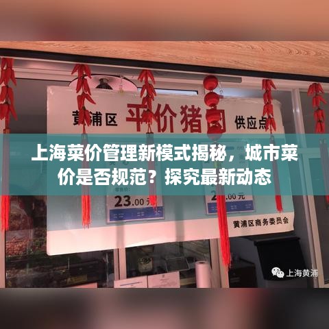 上海菜价管理新模式揭秘，城市菜价是否规范？探究最新动态