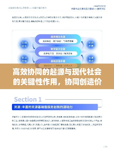 高效协同的起源与现代社会的关键性作用，协同创造价值，效率引领未来