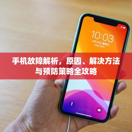 10词海二八