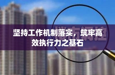 坚持工作机制落实，筑牢高效执行力之基石