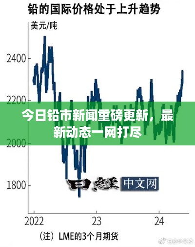 雍容雅步