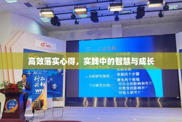 高效落实心得，实践中的智慧与成长
