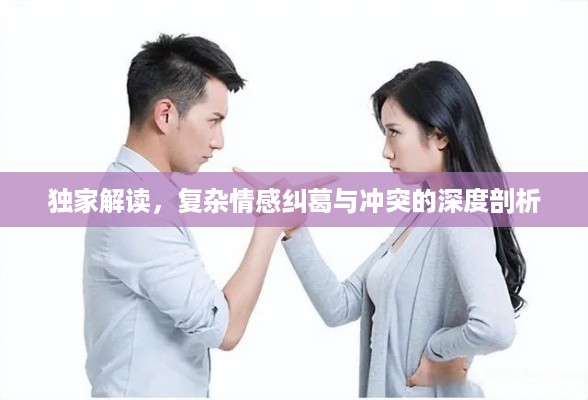 独家解读，复杂情感纠葛与冲突的深度剖析