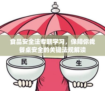 食品安全法专题学习，保障你我餐桌安全的关键法规解读
