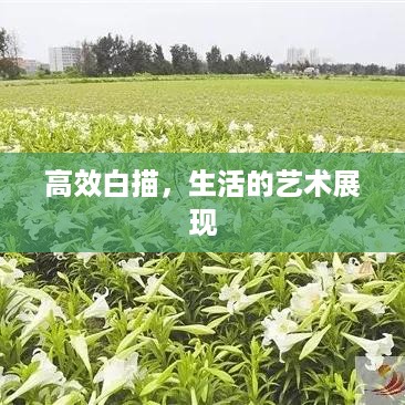 2025年6月1日