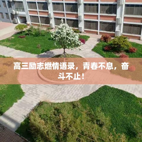 2025年6月 第103页