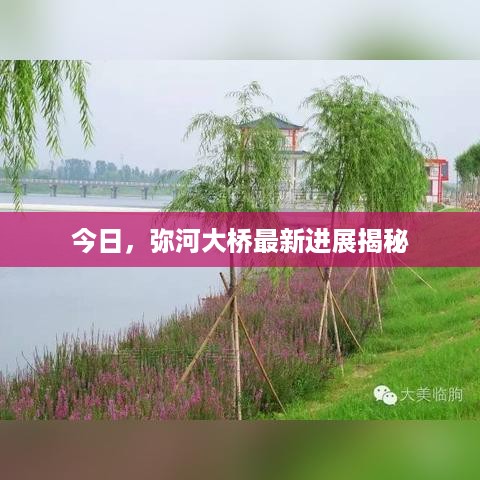 今日，弥河大桥最新进展揭秘