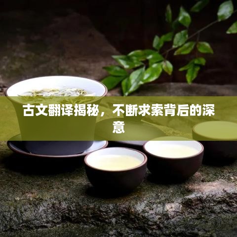 飞红滴翠