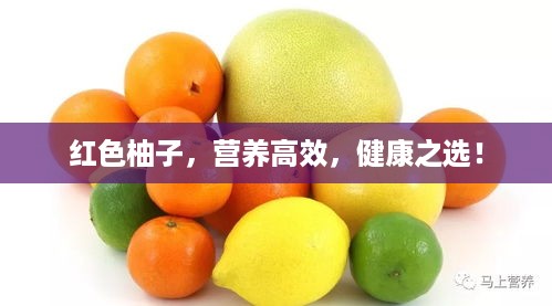 2025年6月12日 第5页
