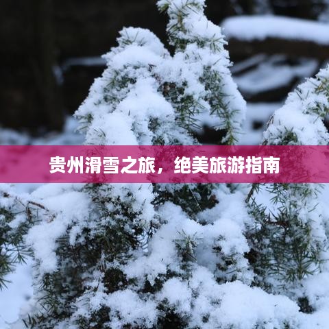 贵州滑雪之旅，绝美旅游指南