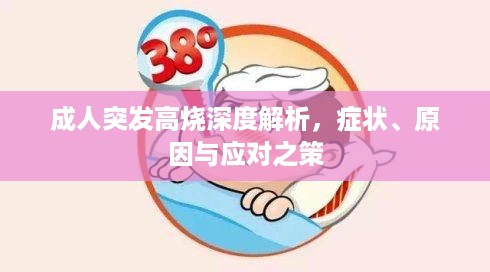 成人突发高烧深度解析，症状、原因与应对之策