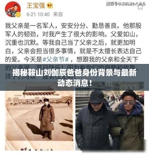 揭秘鞍山刘伽辰爸爸身份背景与最新动态消息！