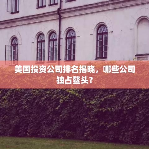 美国投资公司排名揭晓，哪些公司独占鳌头？