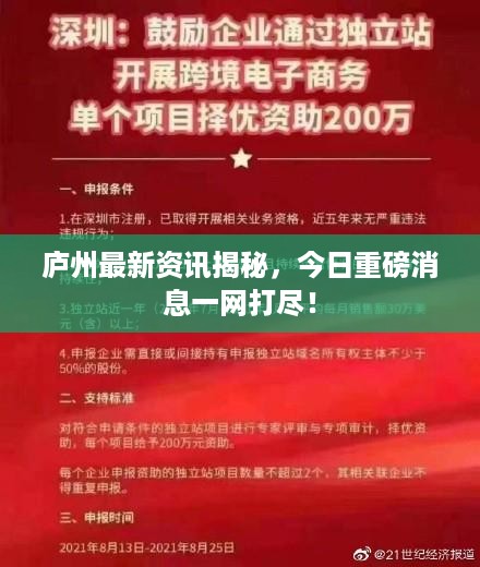 庐州最新资讯揭秘，今日重磅消息一网打尽！