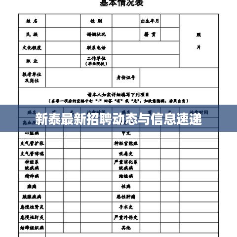 新泰最新招聘动态与信息速递