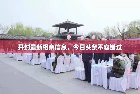 开封最新相亲信息，今日头条不容错过