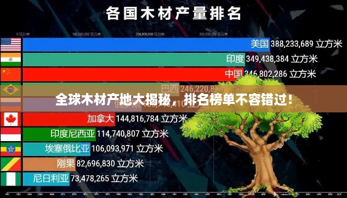 全球木材产地大揭秘，排名榜单不容错过！