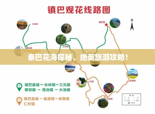 秦巴花海探秘，绝美旅游攻略！