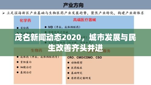茂名新闻动态2020，城市发展与民生改善齐头并进