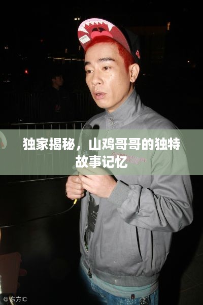 独家揭秘，山鸡哥哥的独特故事记忆