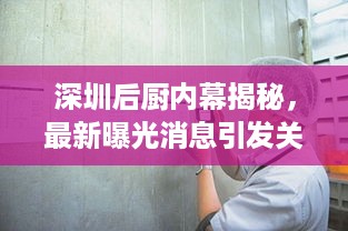 深圳后厨内幕揭秘，最新曝光消息引发关注热议