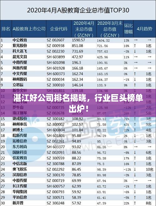 湛江好公司排名揭晓，行业巨头榜单出炉！