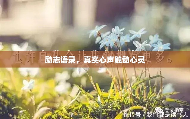 励志语录，真实心声触动心灵