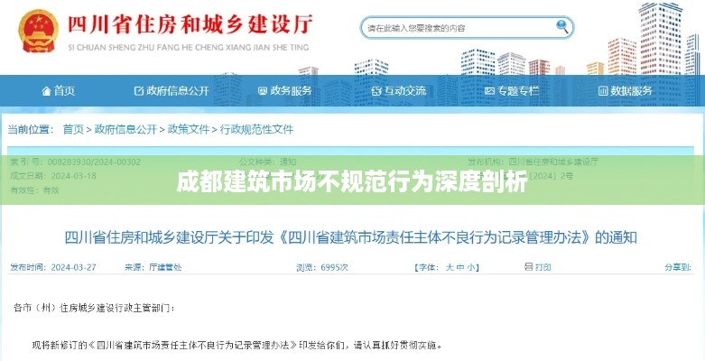成都建筑市场不规范行为深度剖析