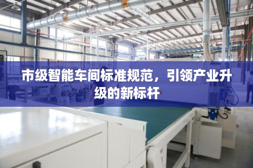 市级智能车间标准规范，引领产业升级的新标杆