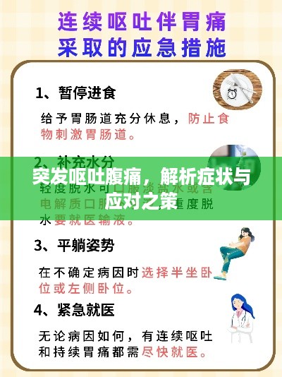 突发呕吐腹痛，解析症状与应对之策