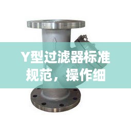Y型过滤器标准规范，操作细节与要点解析