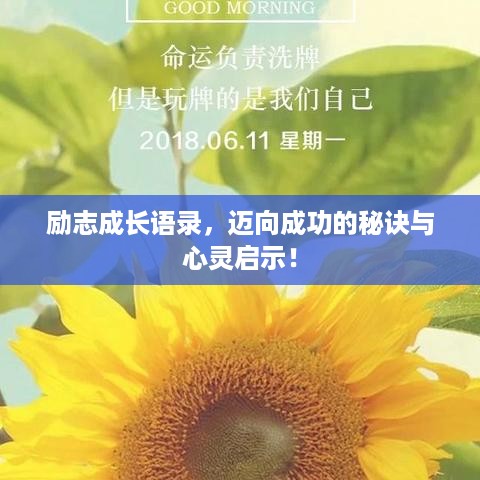 励志成长语录，迈向成功的秘诀与心灵启示！