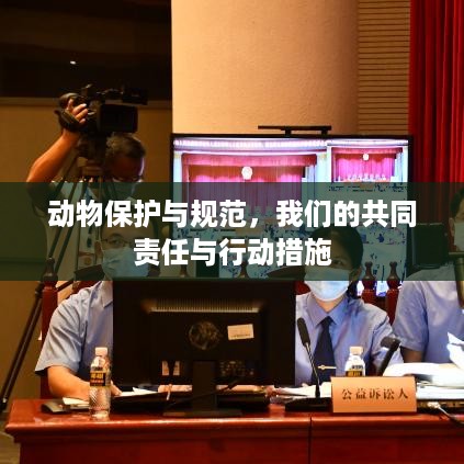 动物保护与规范，我们的共同责任与行动措施
