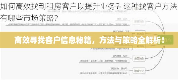 高效寻找客户信息秘籍，方法与策略全解析！