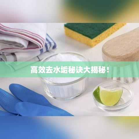 高效去水垢秘诀大揭秘！