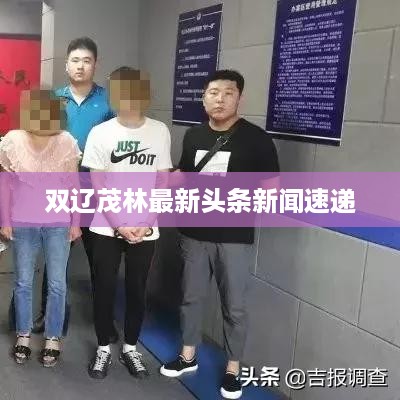 双辽茂林最新头条新闻速递