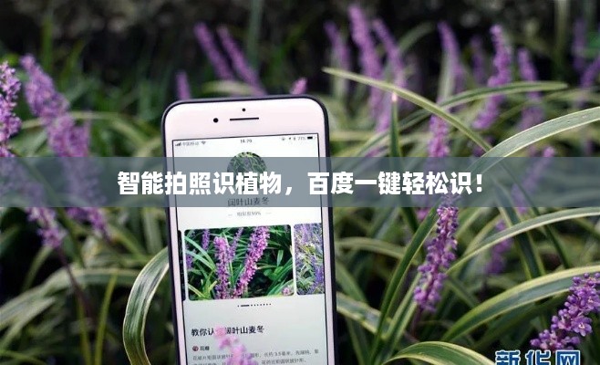 智能拍照识植物，百度一键轻松识！