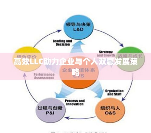 高效LLC助力企业与个人双赢发展策略