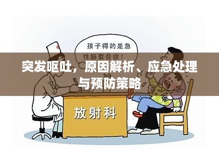 突发呕吐，原因解析、应急处理与预防策略