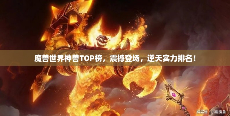 魔兽世界神兽TOP榜，震撼登场，逆天实力排名！