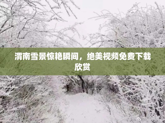 渭南雪景惊艳瞬间，绝美视频免费下载欣赏